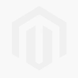 Rosier ANDRE LE NOTRE ® Meiceppus 9 Rosier ANDRE LE NOTRE ® Meiceppus – Image 7