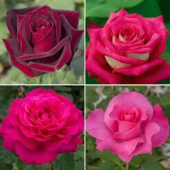 Collection Grands Parfums PERFUMELLA ®