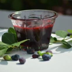 Baies De Mai FRUITY BERRY ® Gamme FRUITALITY ® -Meilland Richardier Soldes 20 fruity berry verdia 1000