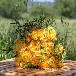 Rosier Grimpant Golden PAREO ® Meipiyou 9 Rosier Grimpant Golden PAREO ® Meipiyou -Meilland Richardier Soldes 3135 2911a rosier grimpant golden pareo meipiyou mi t1000