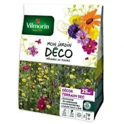 Jachère Fleurie Terrain Sec