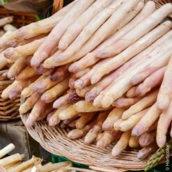 Asperge Super Argenteuil ®