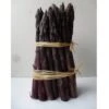 Asperge Violette Hybride F1 -Meilland Richardier Soldes 4881 asperge jacq ma pourpre marionnet t1000
