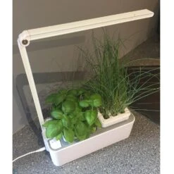 Potager D’intérieur Viviana 13 Potager D’intérieur Viviana -Meilland Richardier Soldes 9001d potager d interieur viviana tj t1000