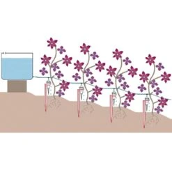 Kit Jardin Iriso ® 6 Kit Jardin Iriso ® -Meilland Richardier Soldes 9015a kit jardin iriso t1000