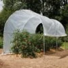 Tunnel Tunelia Spécial Tomates -Meilland Richardier Soldes 9431 tunnel tunelia sp cial tomates celloplast t1000