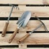 Collection De 3 Outils De Jardins -Meilland Richardier Soldes 9905 2 1000