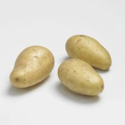 Pomme De Terre Allians BIO