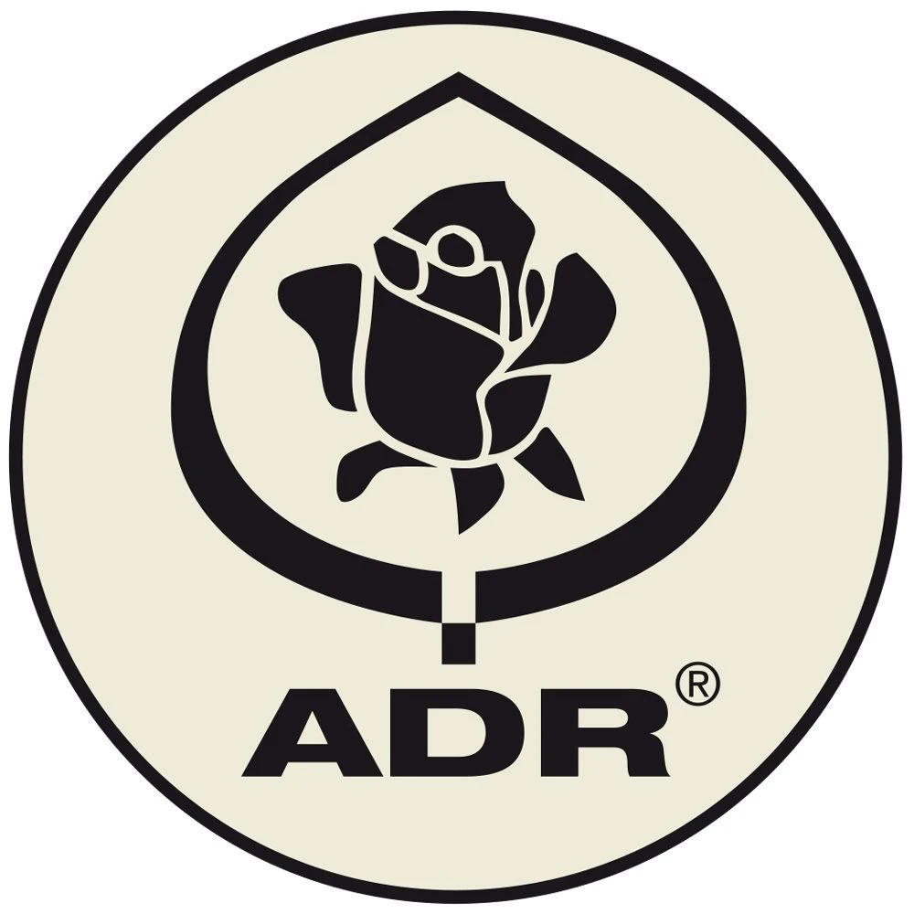 Rosier ANNY DUPEREY ® Meitongas 7 Rosier ANNY DUPEREY ® Meitongas – Image 5