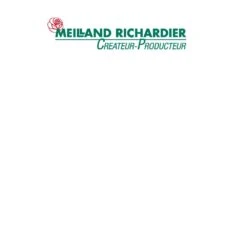 Rosier NICCOLO PAGANINI ® Meicairma -Meilland Richardier Soldes logo pour erreur 404 1 58