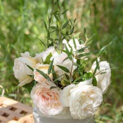 Rosier CAMILLE CLAUDEL ® Meiroguste 9 Rosier CAMILLE CLAUDEL ® Meiroguste -Meilland Richardier Soldes meiroguste camille claudel 19 00013 2 t1000