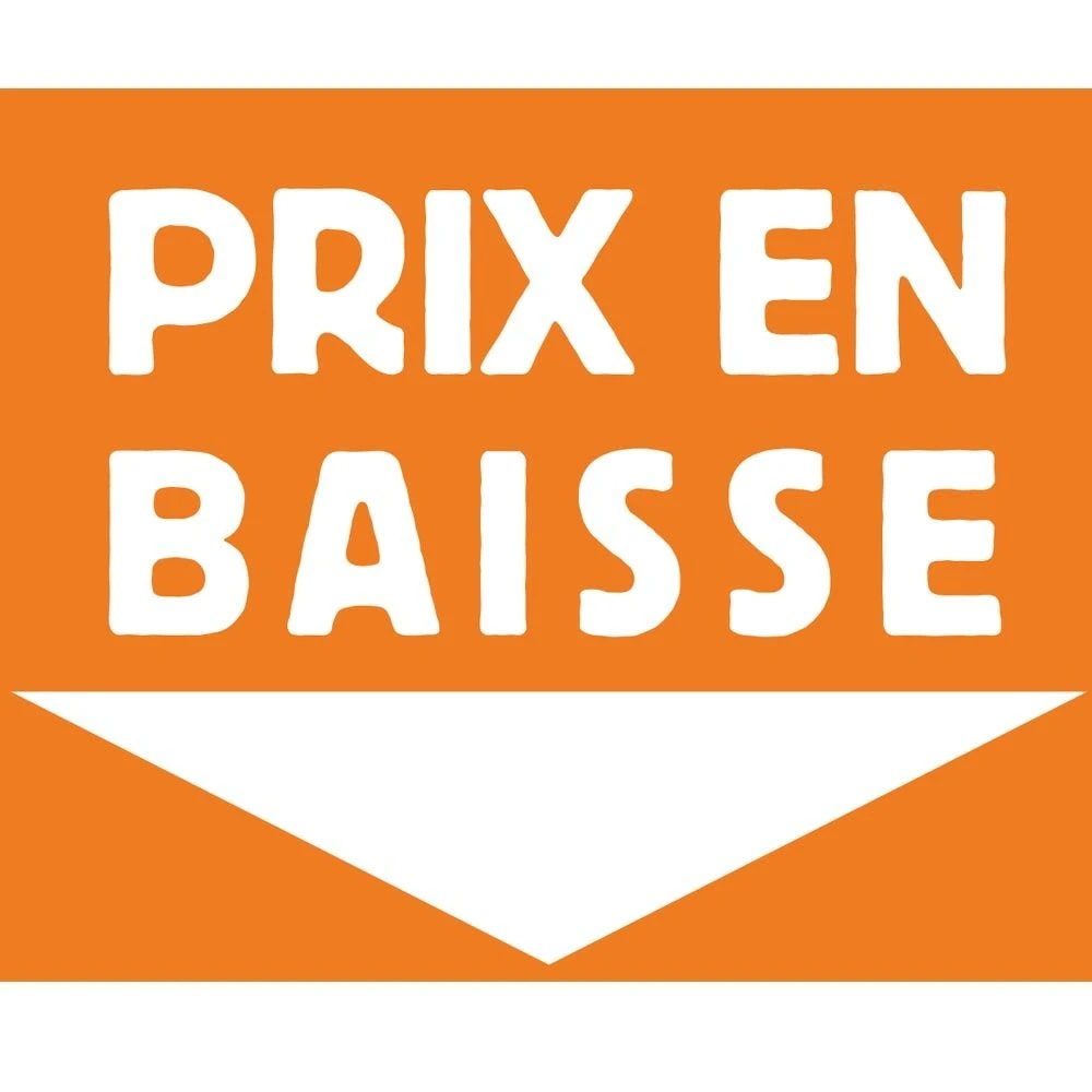 Hortensia Grimpant Ou Hydrangea Petiolaris 9 Hortensia Grimpant Ou Hydrangea Petiolaris â Image 7